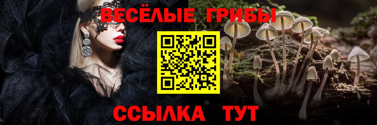 Галлюциногенные грибы GOLDEN TEACHER Омск